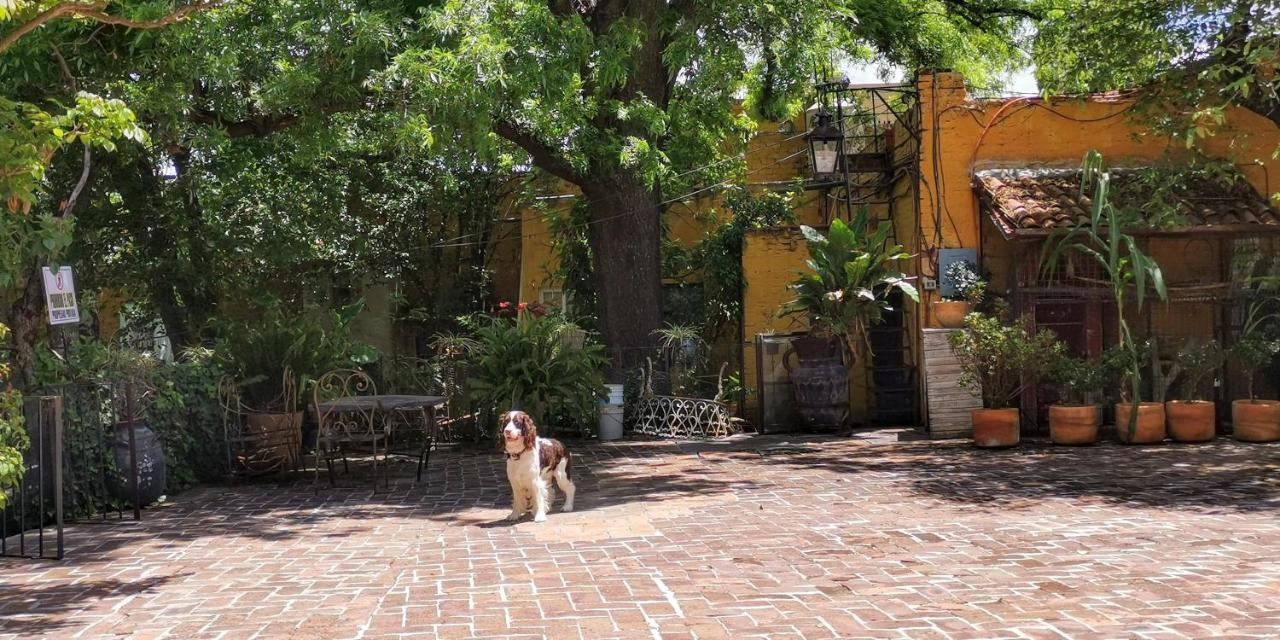 Hotel Sautto San Miguel de Allende Eksteriør bilde